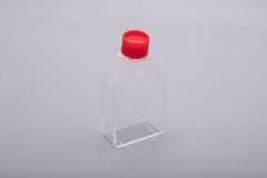 25 cm2-フィルターキャップ