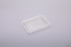 48well 平底-TC処理