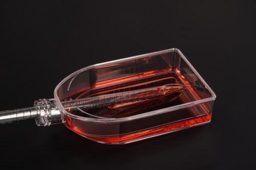 150 cm2-フィルターキャップ