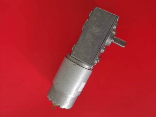 Gear motor
