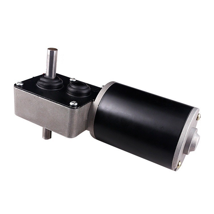 76mm Large Torque Double Shaft Medical Lifting Motor 24V Brushed DC Worm Gear Reducer Motor China