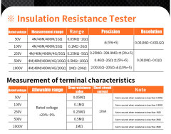 Digital Multimeter + Insulation Resistance Tester 2 in 1
