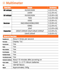 Digital Multimeter + Insulation Resistance Tester 2 in 1