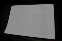 EL Backlight