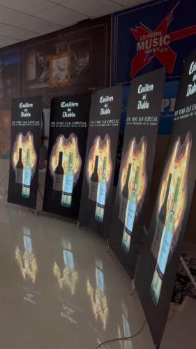 Lighting X Display Wine