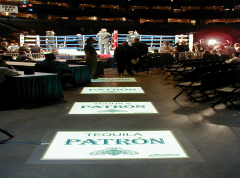 EL Lighting Floor Panel