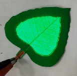EL Lighting Leaves
