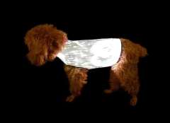 Optical Fiber Dog Cloth