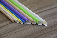 Paper Straw