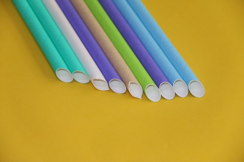 Paper Straw