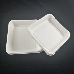 Square Plate