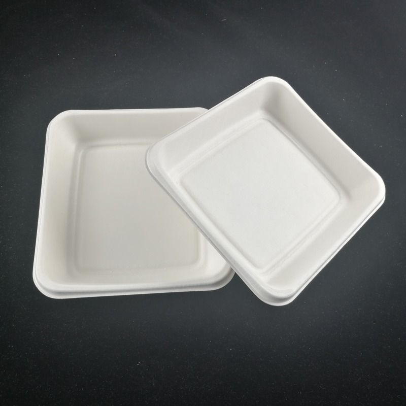 Square Plate