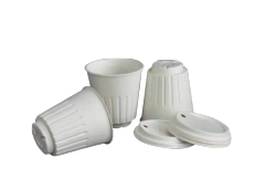 Paper Cup NEW!