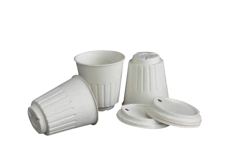 Paper Cup NEW!