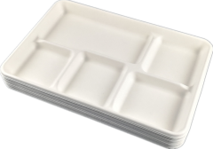 5 compartment tray