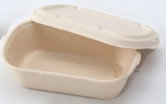 Rectangle Box