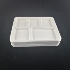 5 compartment tray