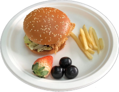 Round Plate