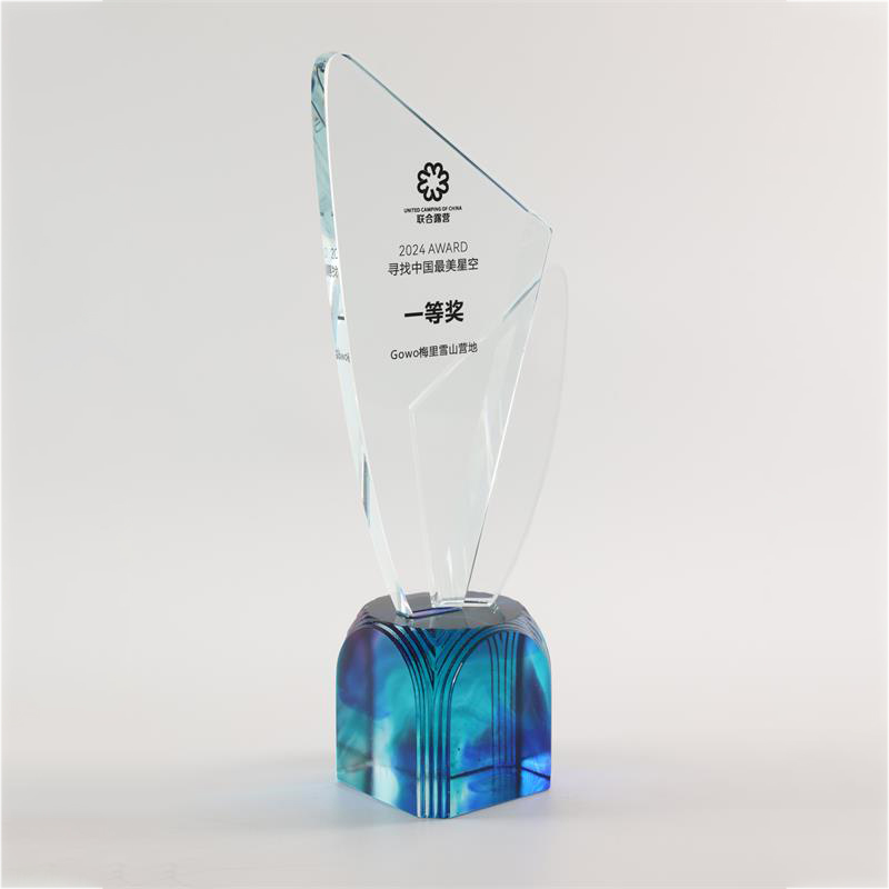 LJ2006D Meritorious trophy