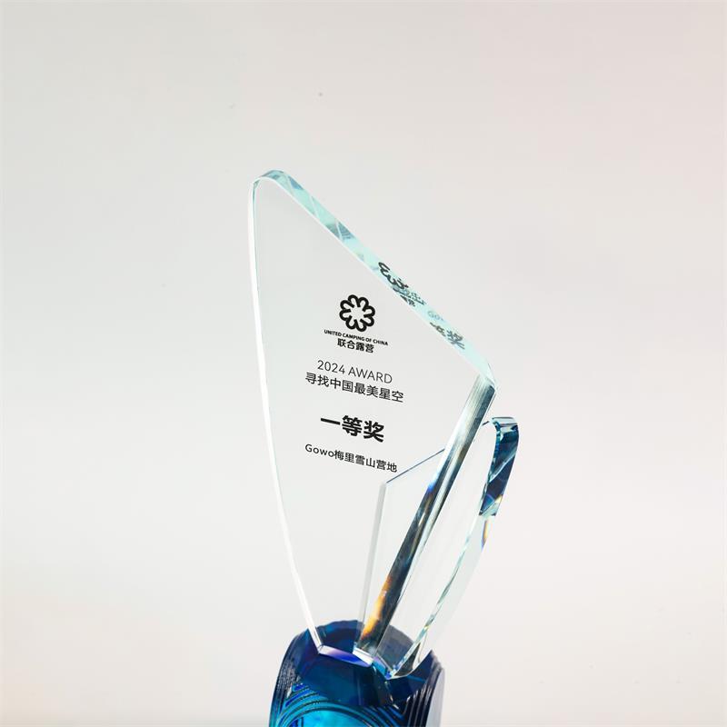 LJ2006D Meritorious trophy