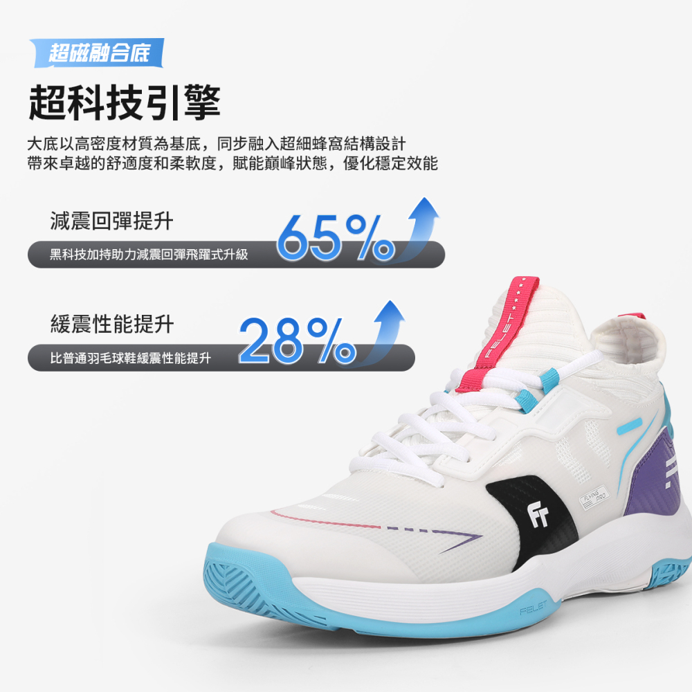 FLYING PRO 專業飛行 二代