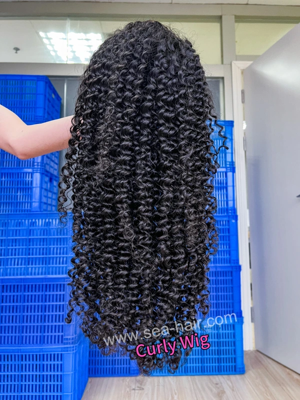SEA Hair Jerry Curly Hair 5x5/13x4/13x6 HD And Transparent Pre-made Lace Wigs