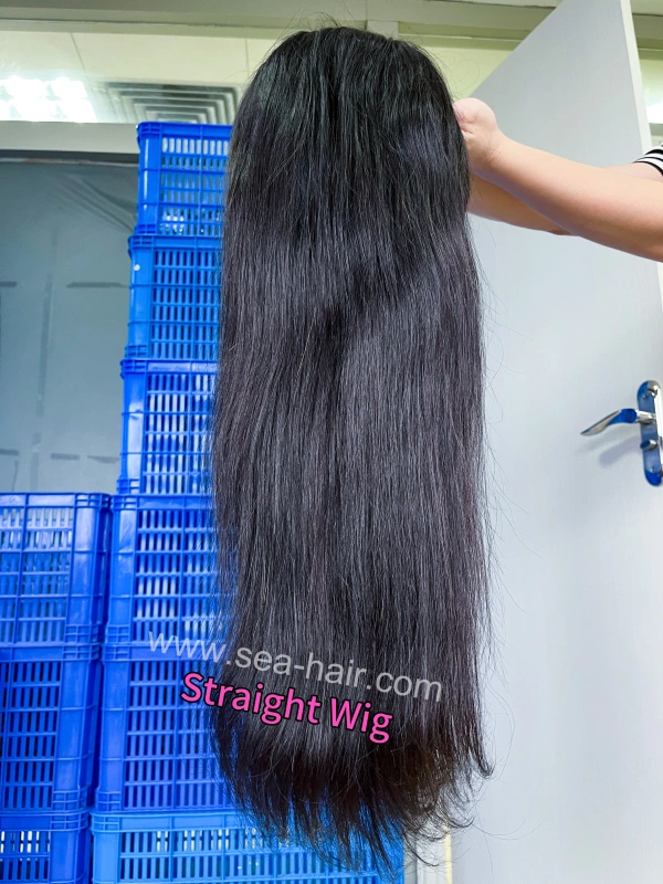 Sea Hair Raw Southeast Asian Straight Hair 4x4/5x5/6x6/13x4/13x6 HD And Transparent Wig