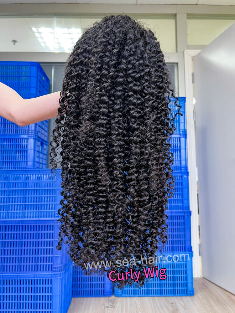 SEA Hair Jerry Curly 4x4/5x5/6x6/13x4/13x6 HD And Transparent 12A Mink Hair Customize Wigs