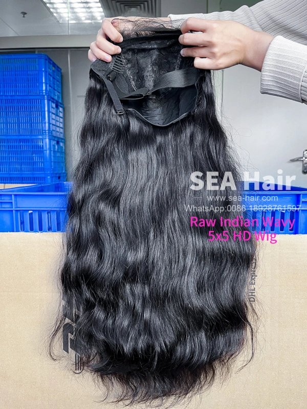 Southeast Asian Indian Wavy SEA Hair 4x4/5x5/6x6/13x4/13x6 HD And Transparent Wig
