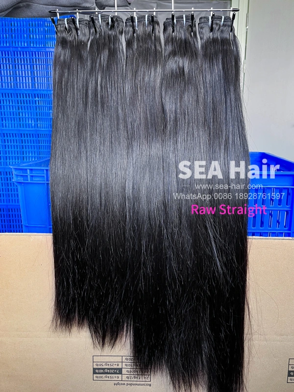 Raw Southeast Asia Straight Hair 1/3/4 Bundles Deals Sea Hair
