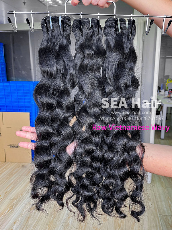 Raw Southeast Asia Hair Vietnamese Wavy 1/3/4 Bundles Deal Sea Hair