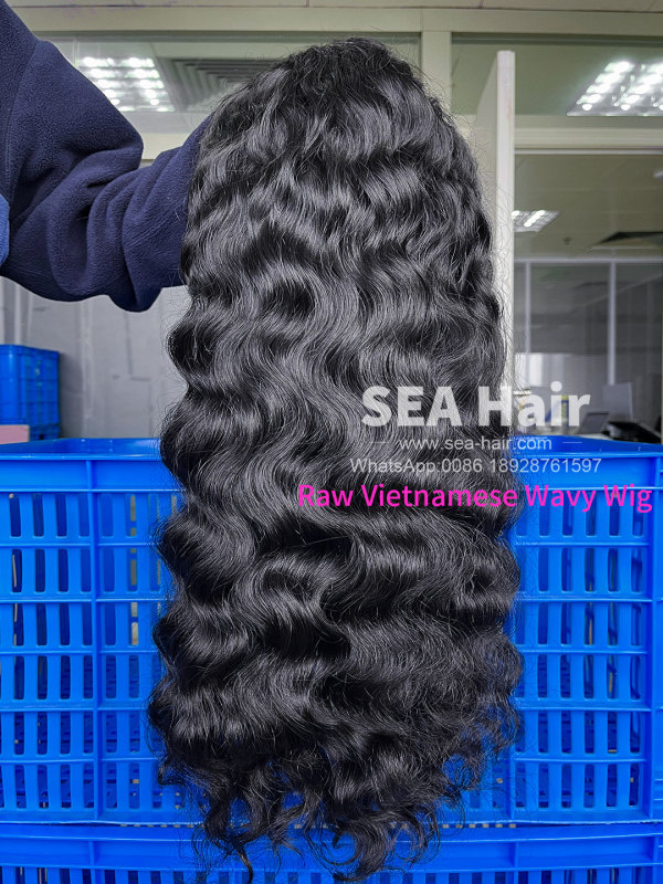 Southeast Asian Vietnamese Wavy SEA Hair 4x4/5x5/6x6/13x4/13x6 HD And Transparent Wig