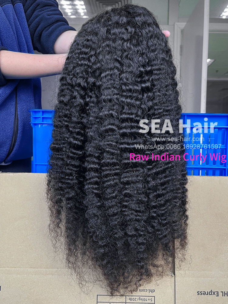 Raw S.E Asian Indian Curly 4x4/5x5/6x6/13x4/13x6 HD And Transparent Wig SEA Hair