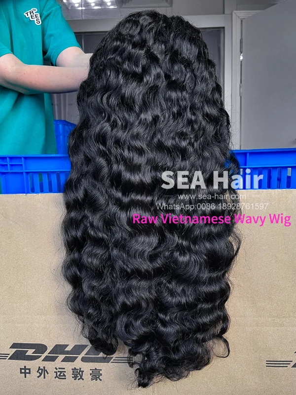 Southeast Asian Vietnamese Wavy SEA Hair 4x4/5x5/6x6/13x4/13x6 HD And Transparent Wig