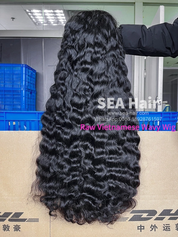 Southeast Asian Vietnamese Wavy SEA Hair 4x4/5x5/6x6/13x4/13x6 HD And Transparent Wig