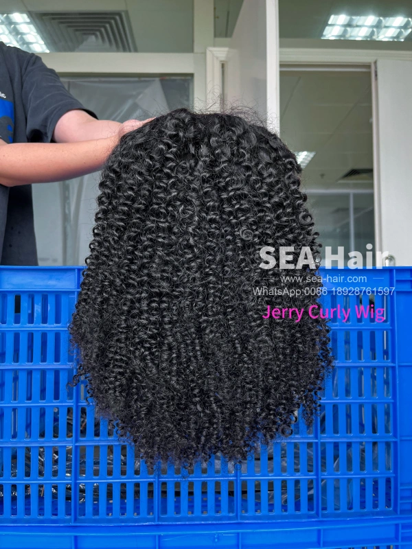 SEA Hair Jerry Curly Hair 5x5/13x4/13x6 HD And Transparent Pre-made Lace Wigs