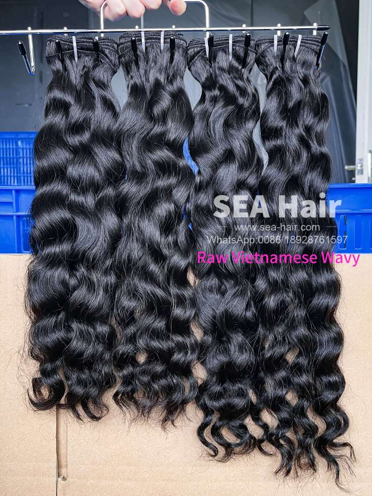 Raw Southeast Asia Hair Vietnamese Wavy 1/3/4 Bundles Deal Sea Hair