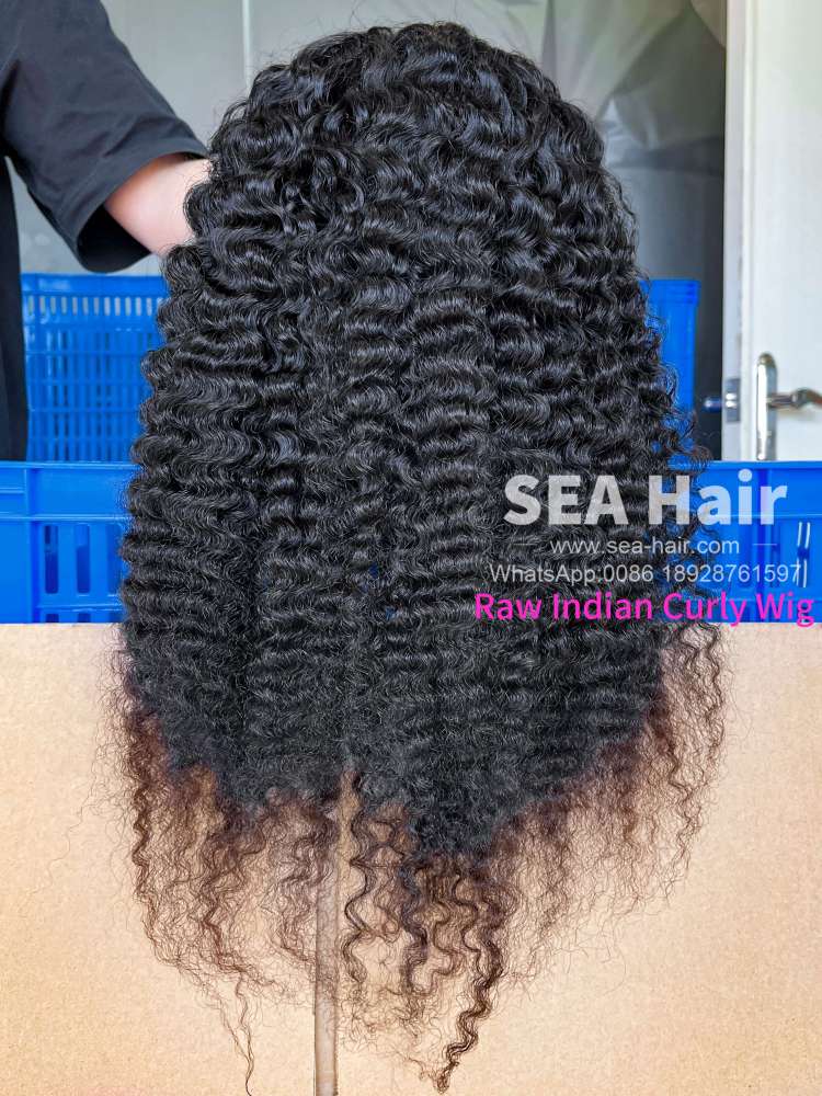 Sea Hair Raw Southeast Asian Indian Curly V Part Wig