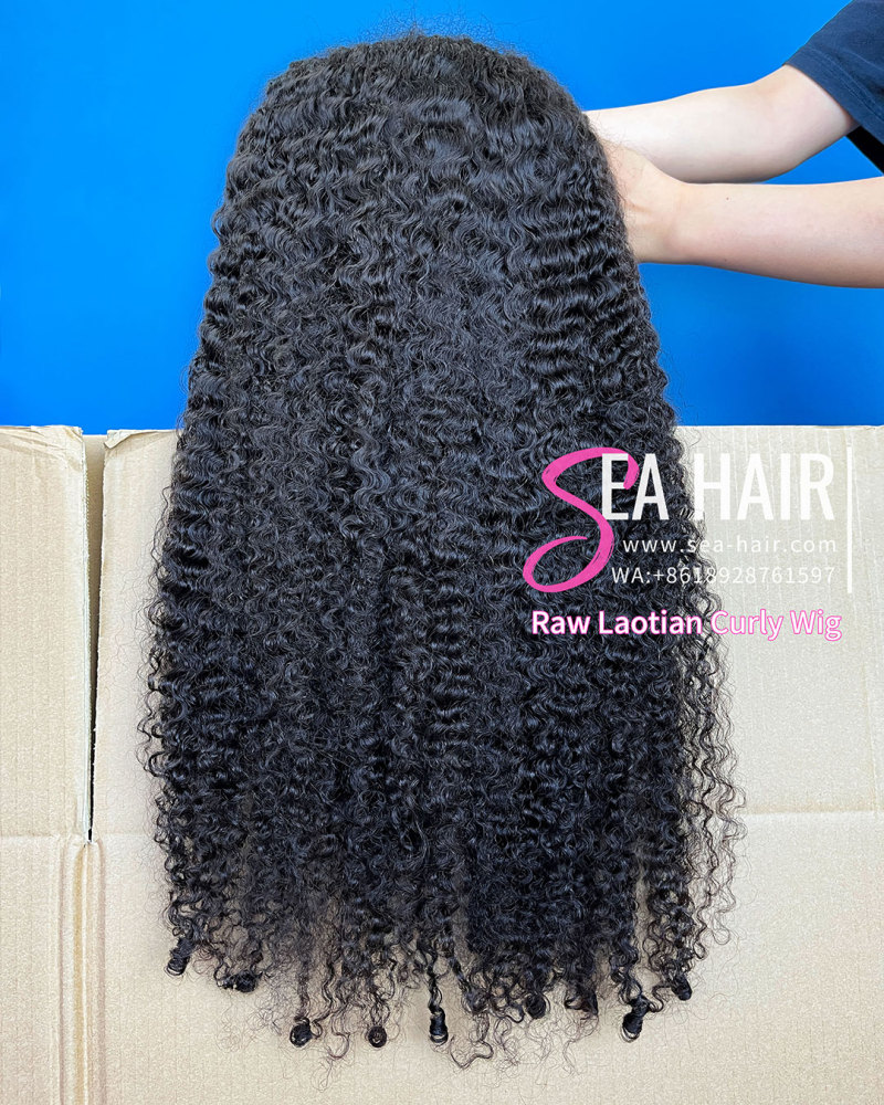 Southeast Asian Laotian Curly SEA Hair 4x4/5x5/6x6/13x4/13x6 HD And Transparent Wig