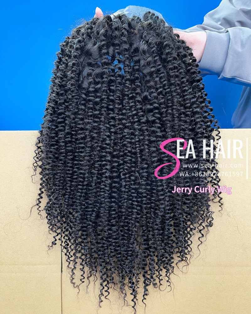 SEA Hair Jerry Curly Hair 5x5/13x4 HD/Transparent And Full Lace Pre-made Lace Wigs