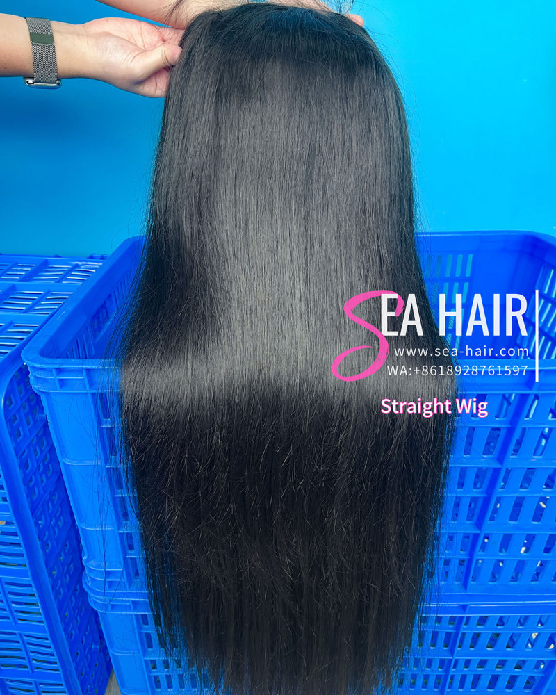 Sea Hair Raw Southeast Asian Straight Hair 4x4/5x5/6x6/13x4/13x6 HD And Transparent Wig