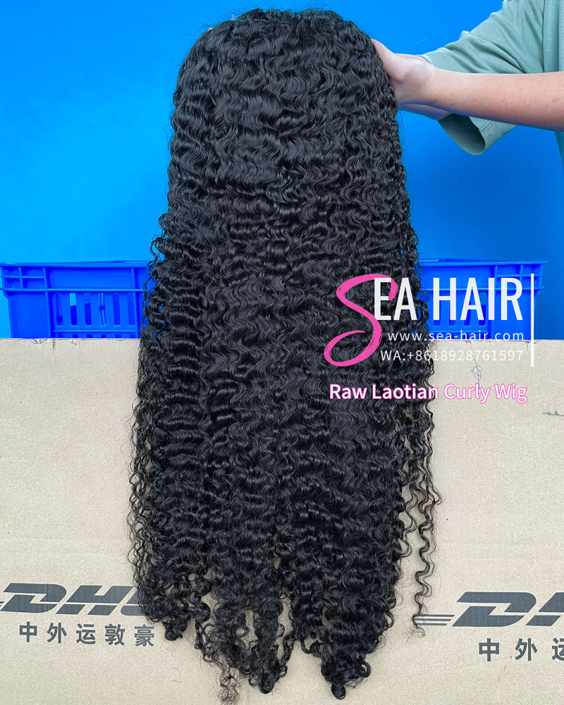 Southeast Asian Laotian Curly SEA Hair 4x4/5x5/6x6/13x4/13x6 HD And Transparent Wig