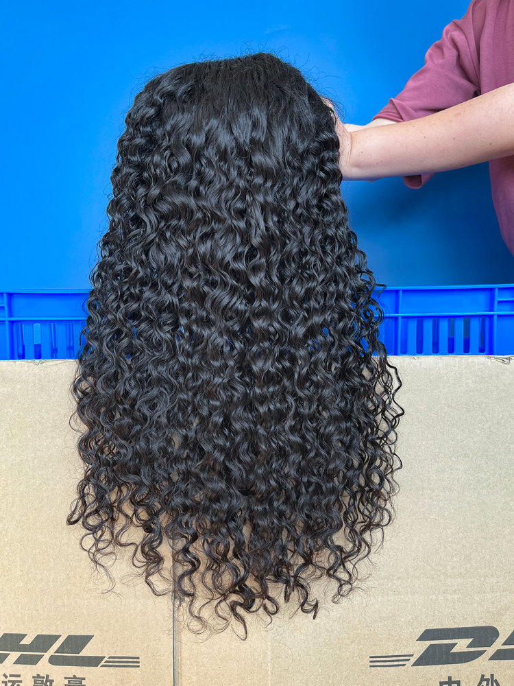 SEA Hair Water Wave 4x4/5x5/13x4 HD/Transparent Pre-made Lace Wigs
