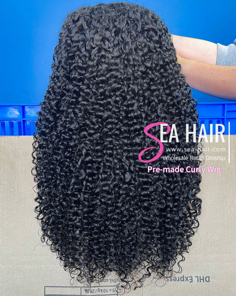 SEA Hair Jerry Curly 4x4/5x5/13x4 HD/Transparent Pre-made Lace Wigs