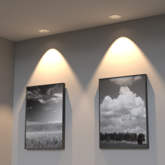 LED Smart Home downlight