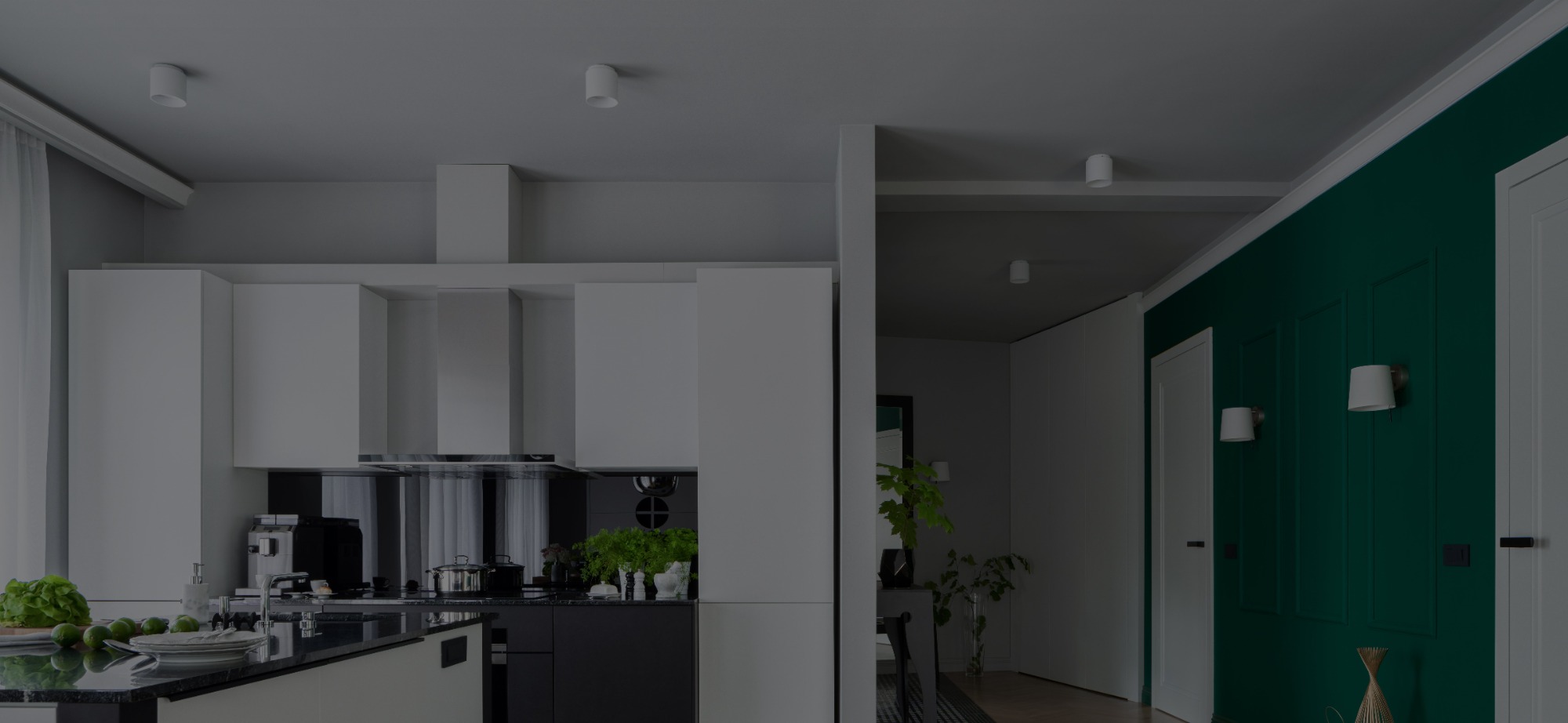 LED Down Lights