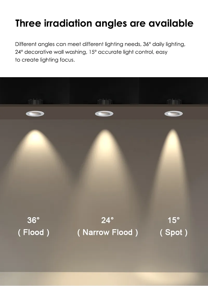 Installed spotlight view carried over from the original description