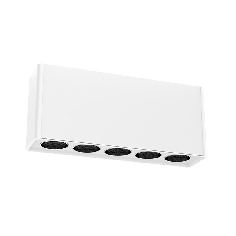 10W 20W Alu Double Head LED Grille Downlight Lamp for Project