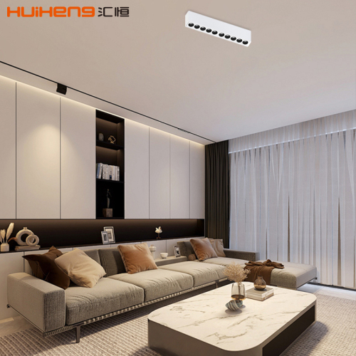 10W 20W Alu Double Head LED Grille Downlight Lamp for Project