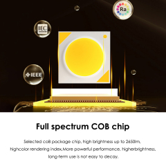 10W 20W Alu Double Head LED Grille Downlight Lamp for Project